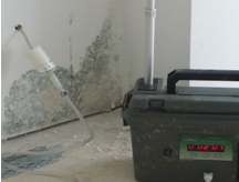 mould-decontamination